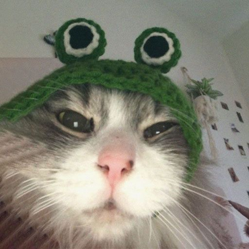 trix's profile picture